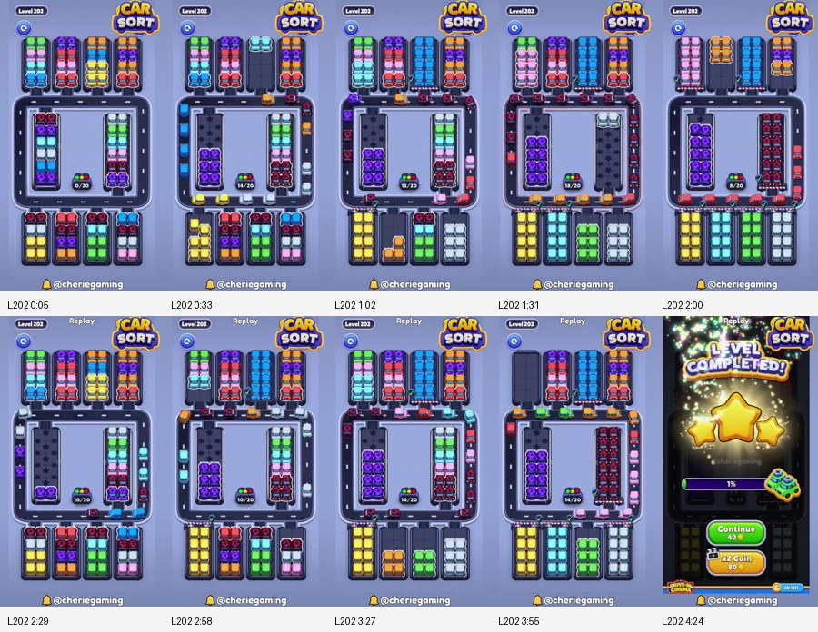 Car Sort: Color Puzzle Level 202 route reference